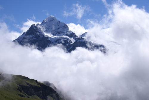    Schreckhorn / Schweiz   