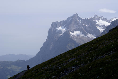    Wetterhorn / Schweiz   