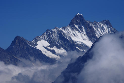    Schreckhorn / Schweiz   