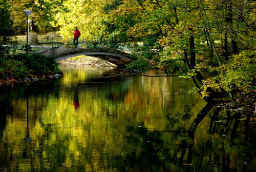    Rombergpark Dortmund   